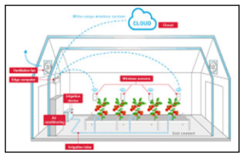 Schematic Diagram: Our Smart Greenhouse